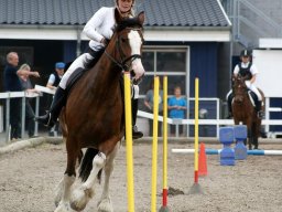 208908_10150929580673585_1249348950_n_web